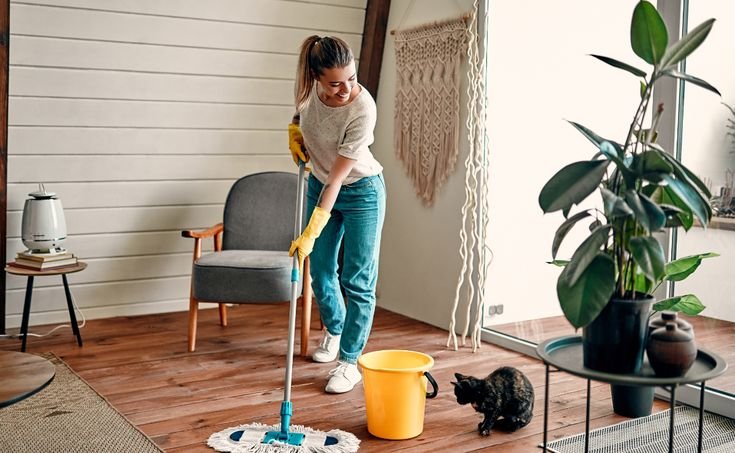 Home cleaning services in lucknow