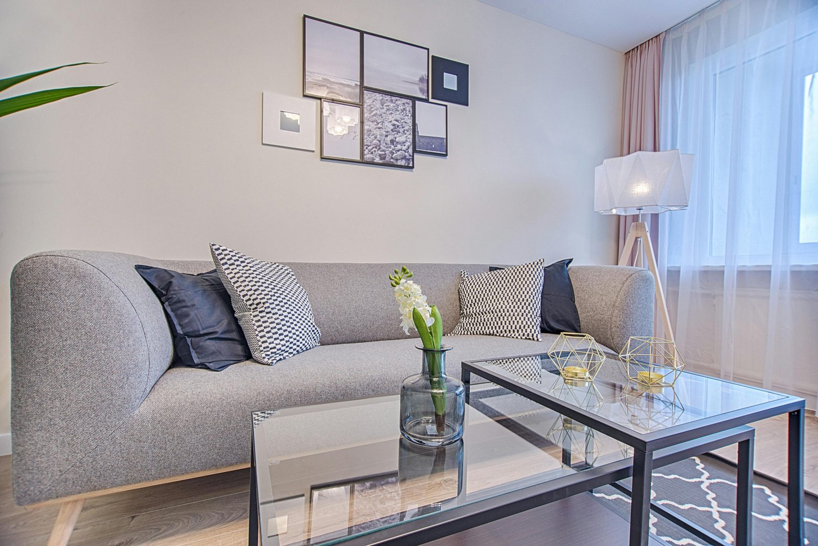 sofa cleaning  Lucknow