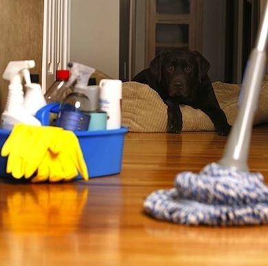 Home Cleaning Services in Varanasi