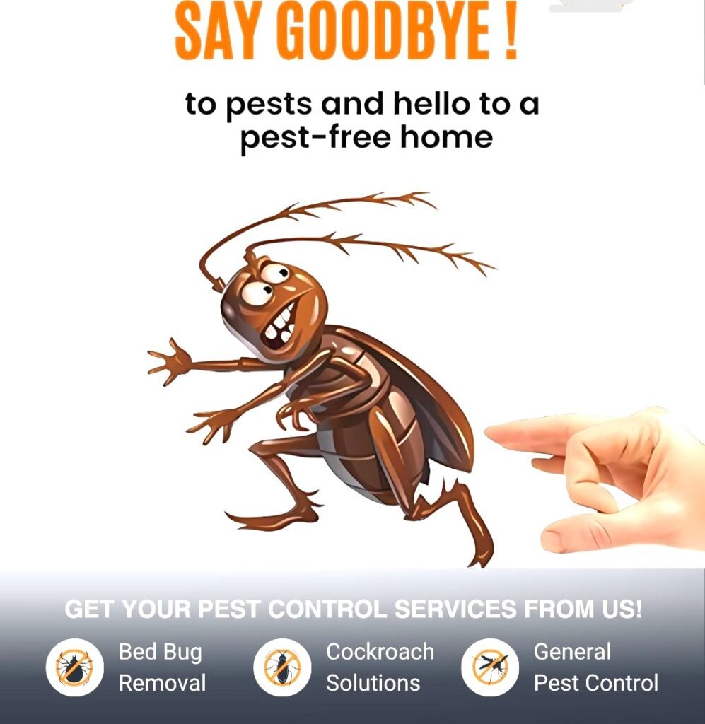 termite control in lucknow